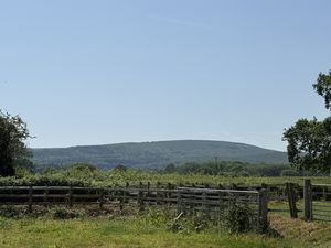 Views from the Garden- click for photo gallery